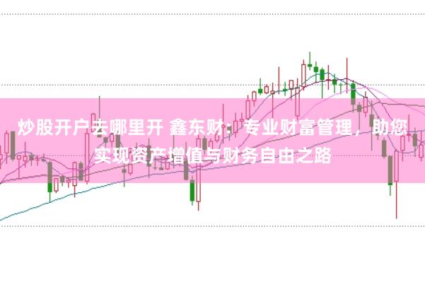 炒股开户去哪里开 鑫东财：专业财富管理，助您实现资产增值与财务自由之路