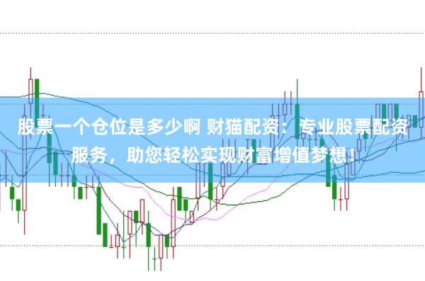 股票一个仓位是多少啊 财猫配资：专业股票配资服务，助您轻松实现财富增值梦想！