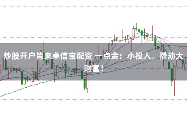 炒股开户皆来卓信宝配资 一点金：小投入，撬动大财富！