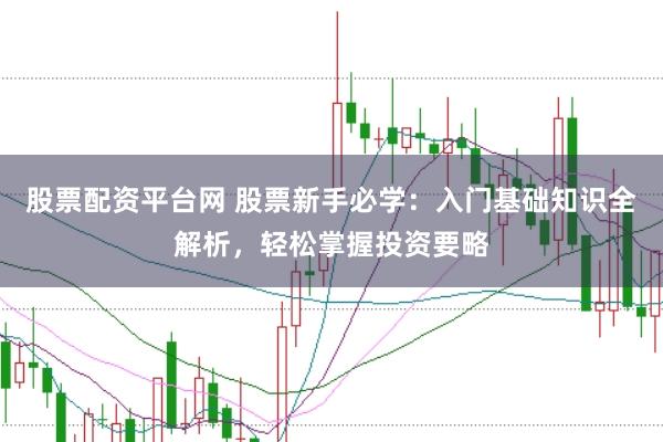 股票配资平台网 股票新手必学：入门基础知识全解析，轻松掌握投资要略