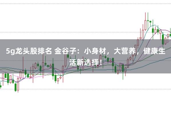 5g龙头股排名 金谷子：小身材，大营养，健康生活新选择！