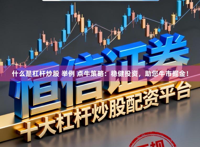什么是杠杆炒股 举例 点牛策略：稳健投资，助您牛市掘金！